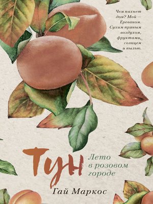 cover image of Тун. Лето в розовом городе